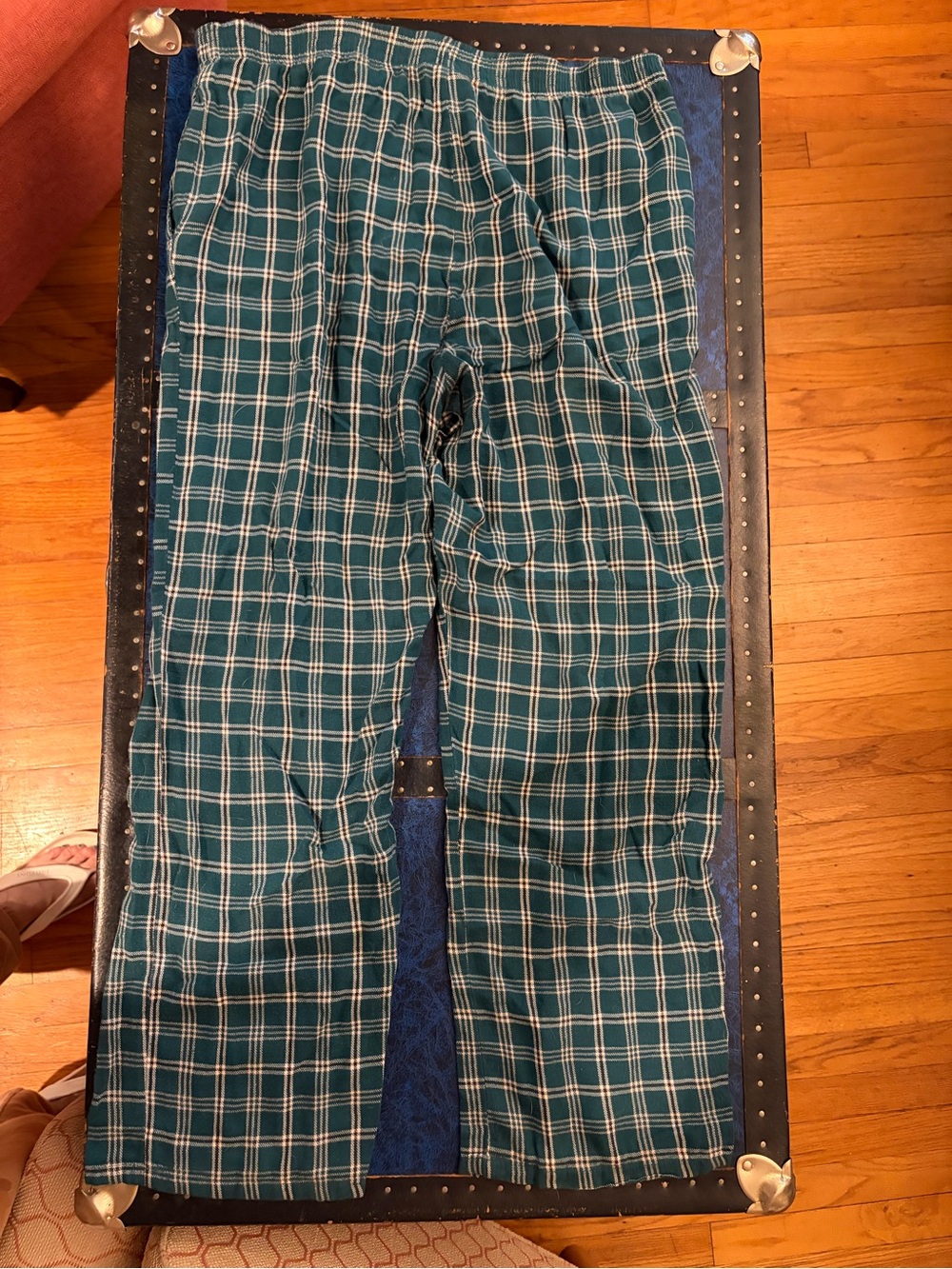 Men's Eagles pj bottoms